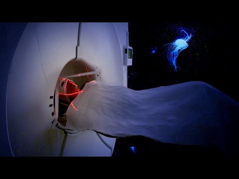 AWARE: Glimpses of Consciousness – Theatrical trailer