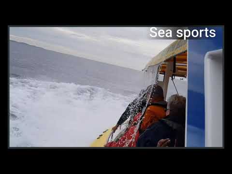 whale showing the skill | Sea sports