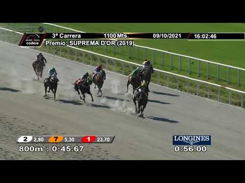 211009 c03 LEOPARDO MALEVO