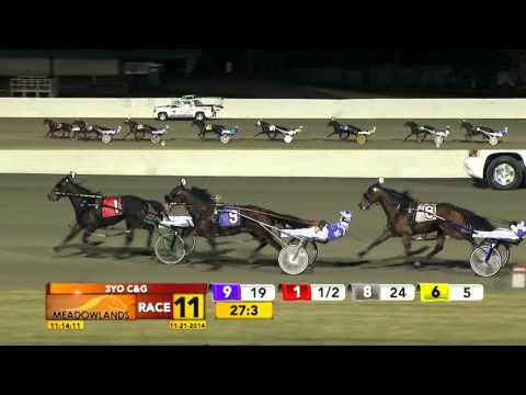 Meadowlands November 21, 2014 - Race 11 - Gold Rocks