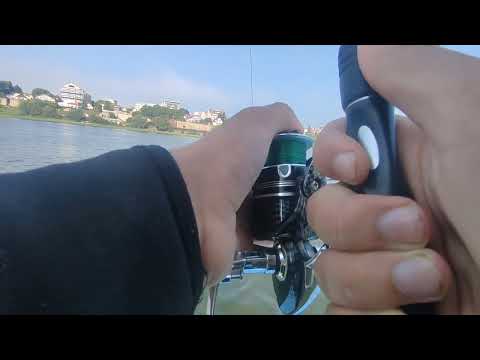 PECANJE SOMA GLAVINJARAMA - NAJBOLJA BORBA SEZONE