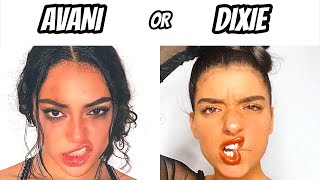 AVANI OR DIXIE #1