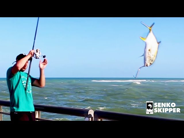 The Craziest Pier Fishing in America: Sebastian Pier, Florida