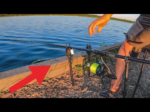 Dieser See ist voll mit Karpfen 🤯 Karpfenangeln in Litauen