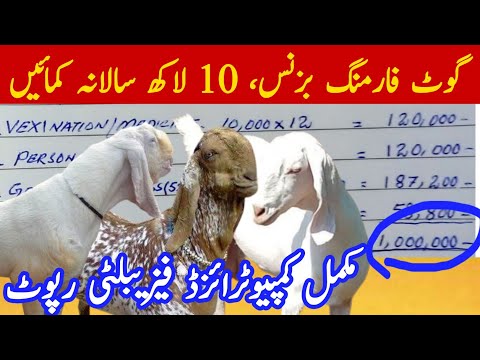 , title : 'Goat farming business in Pakistan | Computerised feasibility of 50 goats | bskri palan | bakri farm'