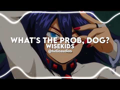 What's the Prob, Dog - WISEKIDS (edit audio)