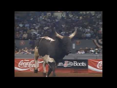 Alligator bucks Ted Nuce - 95 PBR Guthrie