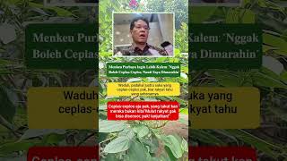 Download lagu 𝐌𝐞𝐧𝐤𝐞𝐮 𝐏𝐮𝐫𝐛𝐚𝐲𝐚 𝐈𝐧𝐠𝐢𝐧 𝐋𝐞𝐛𝐢𝐡 𝐊𝐚𝐥𝐞𝐦: '𝐍𝐠𝐠𝐚𝐤 𝐁𝐨𝐥𝐞𝐡 𝐂𝐞𝐩𝐥𝐚𝐬 𝐂𝐞𝐩𝐥𝐨𝐬, 𝐍𝐚𝐧𝐭𝐢 𝐒𝐚𝐲𝐚 𝐃𝐢𝐦𝐚𝐫𝐚𝐡𝐢𝐧 #shorts #viral mp3 Download lagu 𝐌𝐞𝐧𝐤𝐞𝐮 𝐏𝐮𝐫𝐛𝐚𝐲𝐚 𝐈𝐧𝐠𝐢𝐧 𝐋𝐞𝐛𝐢𝐡 𝐊𝐚𝐥𝐞𝐦: '𝐍𝐠𝐠𝐚𝐤 𝐁𝐨𝐥𝐞𝐡 𝐂𝐞𝐩𝐥𝐚𝐬 𝐂𝐞𝐩𝐥𝐨𝐬, 𝐍𝐚𝐧𝐭𝐢 𝐒𝐚𝐲𝐚 𝐃𝐢𝐦𝐚𝐫𝐚𝐡𝐢𝐧 #shorts #viral mp3