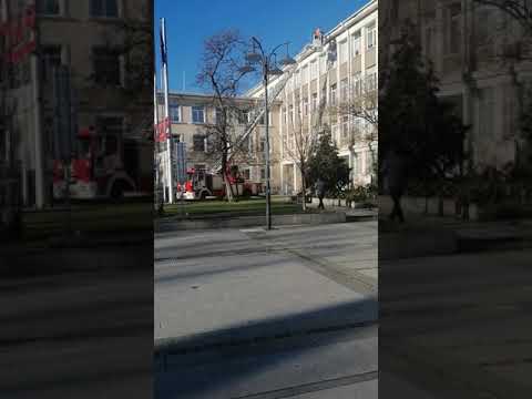 Пожарникари🔥помогнаха на община Силистра да монтира коледната си украса