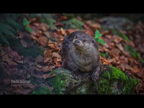 "Mein Nationalpark": Die 16 besten Fanfotos aus der wilden Natur