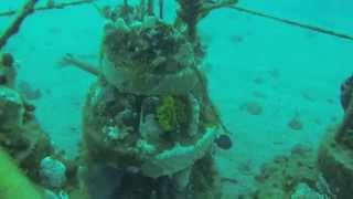 preview picture of video 'Mojon Reef update Dauin Scuba diving 06 08 13'