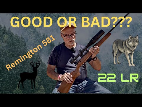 Remington 581 22LR rifles accurate??