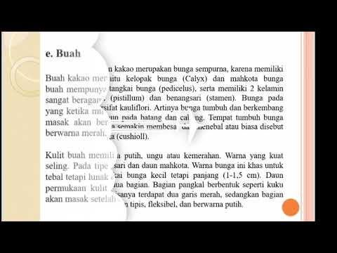 Video
