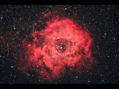 Blind Passengers - a frozen rose