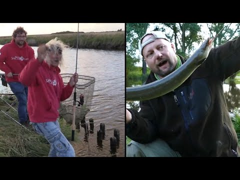 Matze Koch: With worm and shrimp on eel