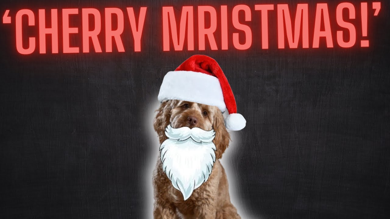 3 Kings sing White Christmas!  Happy Christmas!!