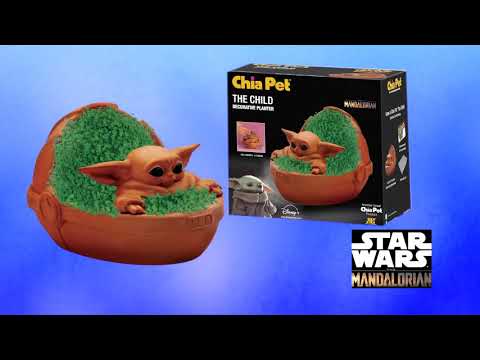 2020 Chia Pet - Disney styles - Star Wars The Mandalorian - The Child