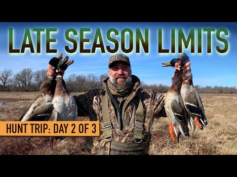 Mallard Hunting on Public Land