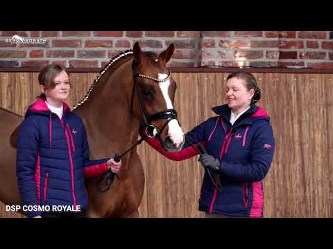 Cosmo Royale *2014 by Cosmopolitan x Casino Royale (Sosath Stallion Show 2021)