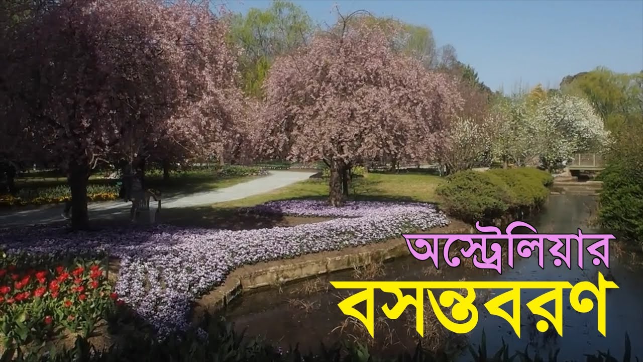 অস্ট্রেলিয়ার বসন্ত | Spring Season in Australia