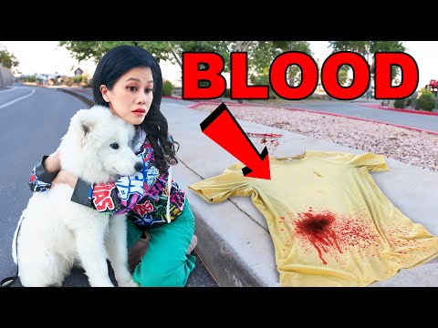 My Puppy Found Blood...