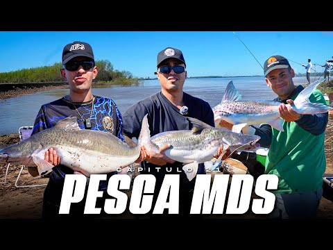 SACAMOS MUCHOS PATIES GRANDES EN LOS POZOS DE FIGHIERA 🎣 PESCA MDS