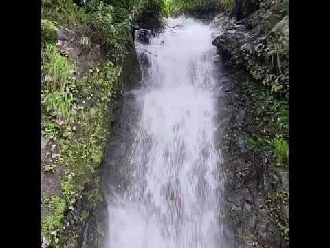 The beauty of nature ❤️