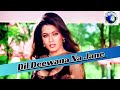 Dil Deewana Na Jane Anuradha Paudwal Daag The Fire Sanjay Dutt Hindi Song Full HD Video