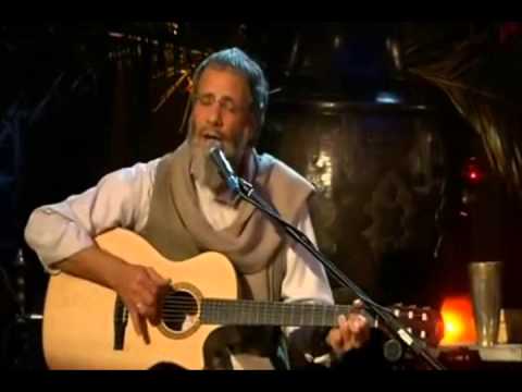 Yusuf Islam - The Little Ones | #FreeSyria | 2013