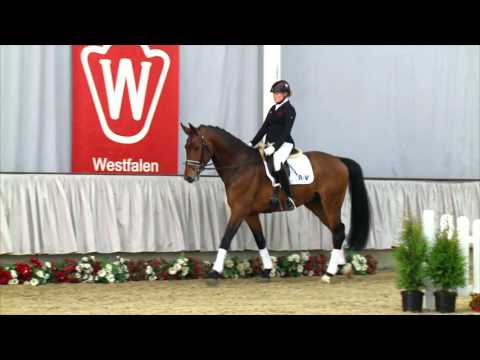 01 Francis Hengst v. Feedback - Fuchsberger