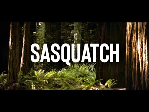 Sasquatch Documentary 2021 (Part 1 - Full Episode)