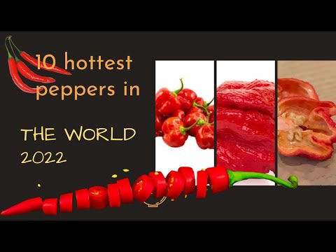10 Hottest Peppers In The World 2022