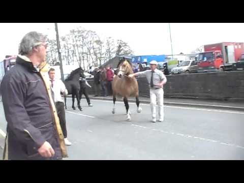 BARLEY Saturday 28th 2012