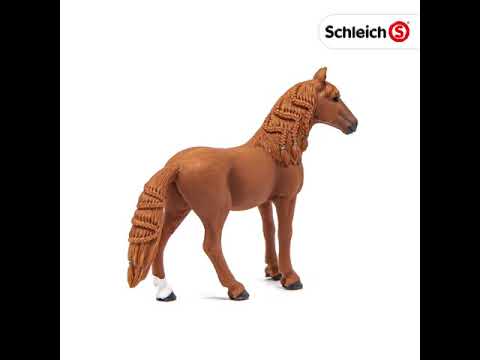 Schleich figūrėlė Vokietijos jojamasis ponis, kumelė video