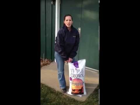 Managing Hard Triple Crown Feed in Colder Weather