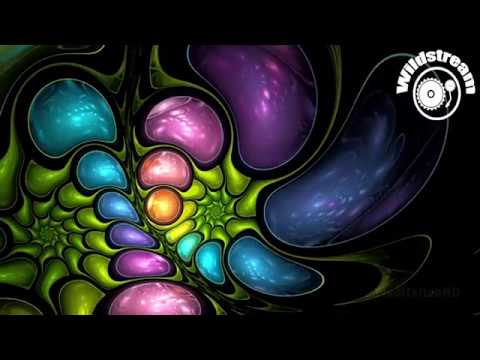 Djset Wildstream #05 Rocco Kredo