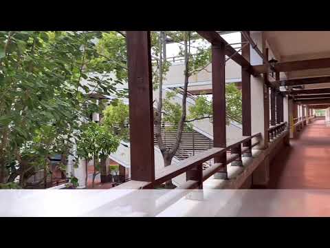 Haikou English (2)的圖片影音連結