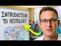 Introduction To Histology