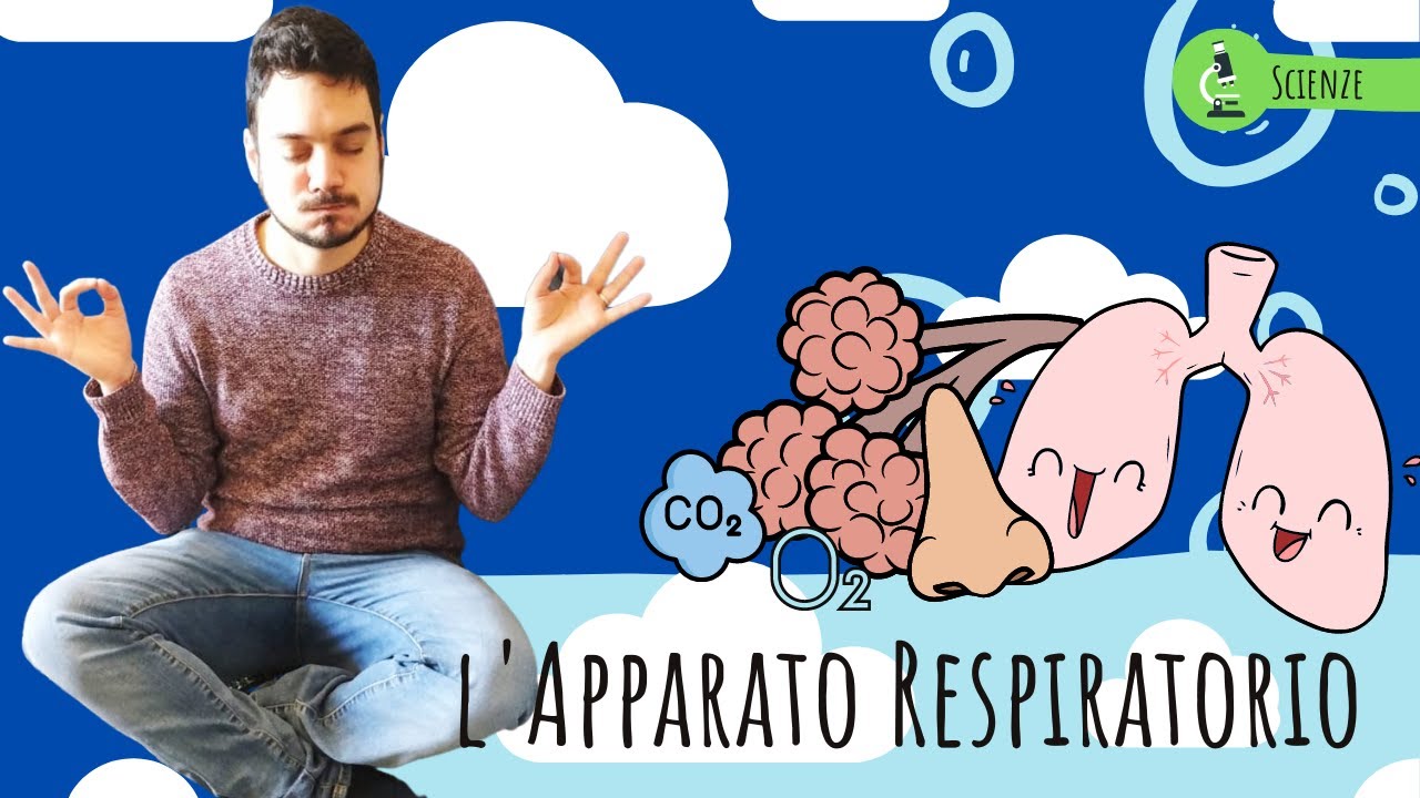 L'APPARATO RESPIRATORIO - Le scienze spiegate FACILI