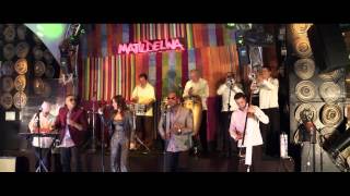 El Yerbero Moderno • Alquimia la Sonora del XXI - youtube music awards