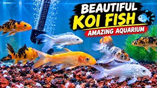 Download lagu Beautiful Koi Fish Tank 🐟✨ | Japanese Koi Fish Aquarium &  mp3