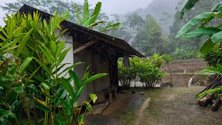 Download lagu Rain in the Village ‼️ Muddy & Steep Roads Become Travel Companions mp3 Download lagu Rain in the Village ‼️ Muddy & Steep Roads Become Travel Companions mp3