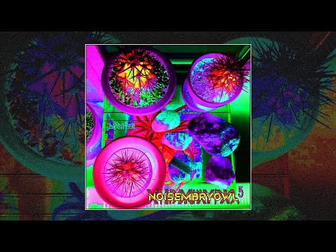 NOISEMBRYOWL 5 // Owlripper compilation