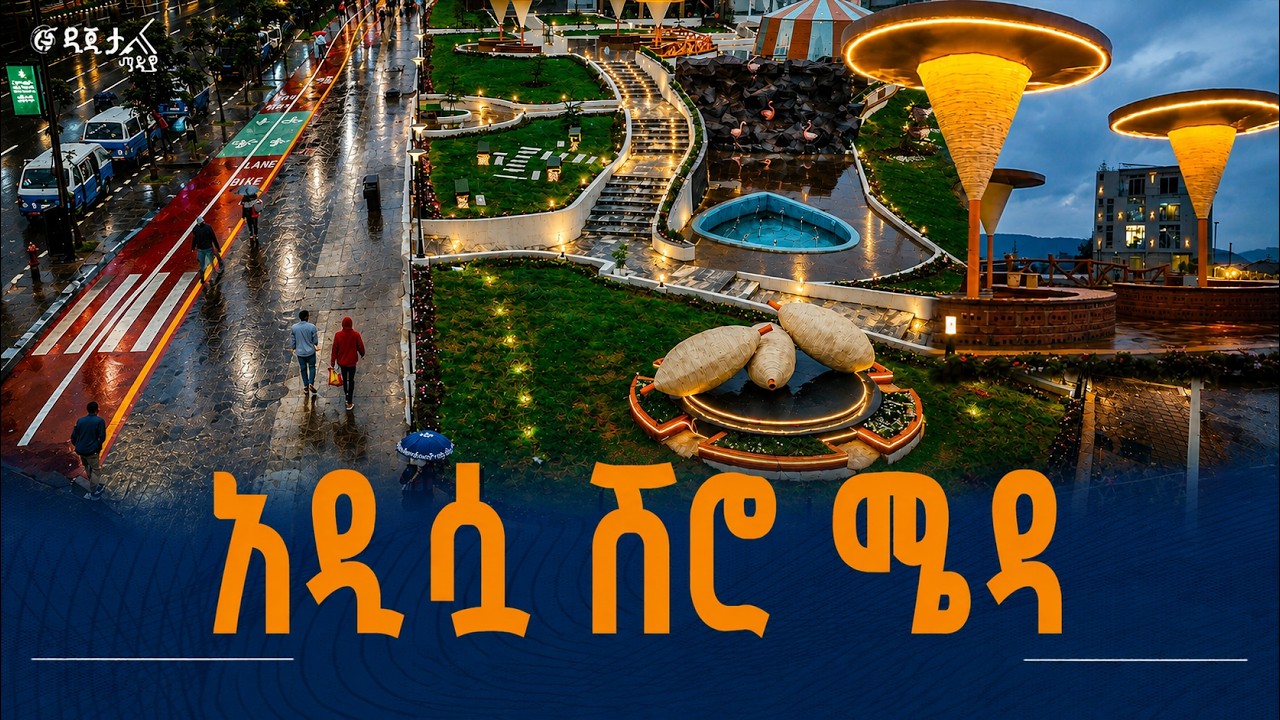 አዲሷ ሽሮ ሜዳ
