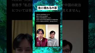 #政治 #河合ゆうすけ #徐浩予 #中国