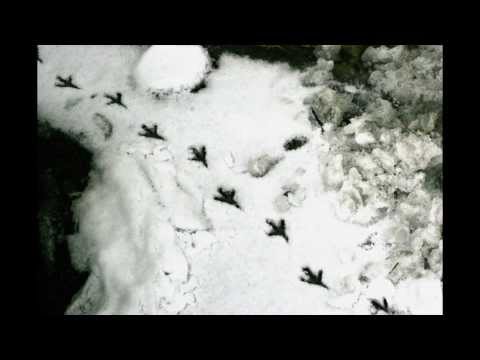 The Miserable Rich - Stop The Cavalry