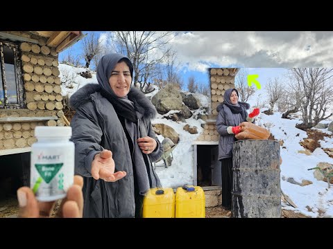 Survival in Mountains With Nothing | How Does a Nomadic Mother Endure?