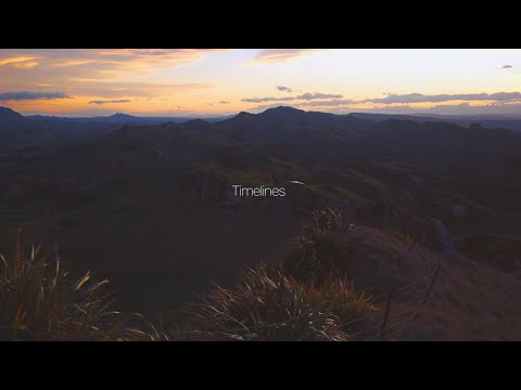 Attom - Timelines