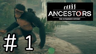 【ようカモ】1千万年後のあなたへ。サルより。#1【Ancestors】