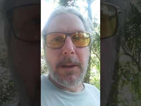 rosary pea's are deadly!